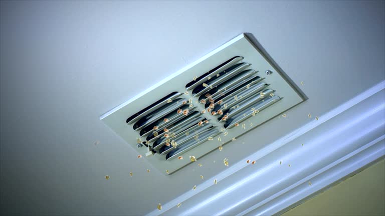 Best Affordable Air Duct Cleaning  in Espy, PA